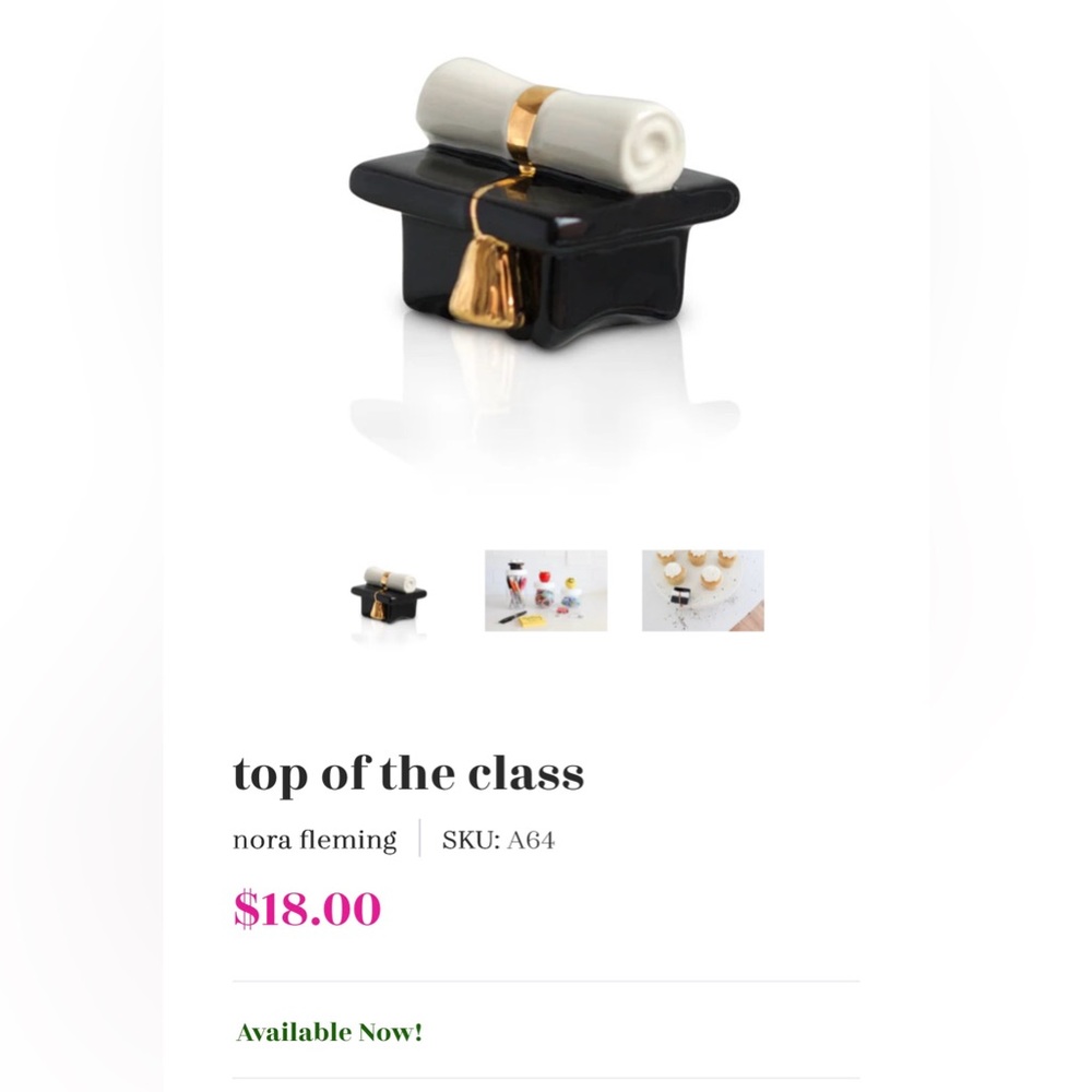 New 4 Nora Fleming Top Of The Class Graduation Cap Diploma Dishes Hostess Insert
